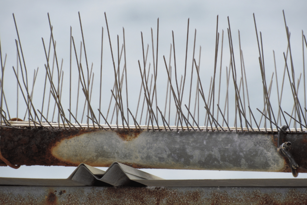 dissuasori per uccelli