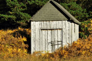 smaltimento stavolo appartamento