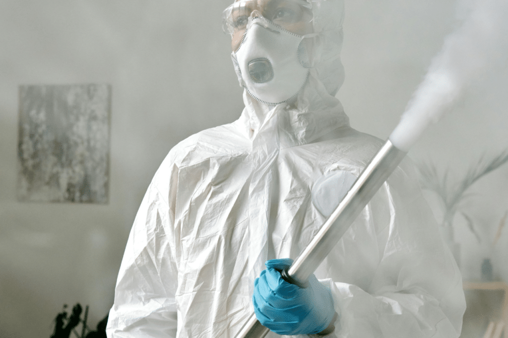 eliminare i tarli del legno fumigazione