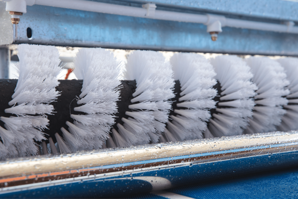 Bonifica ambientale post mortem