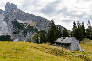 svuota stavolo e smaltimento svuota stavolo e smaltimento