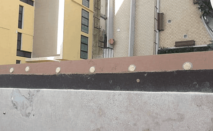 Gel ottico per piccioni