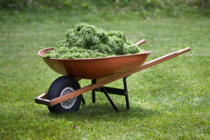 servizio smaltimento rifiuti vegetali sfalci e potature