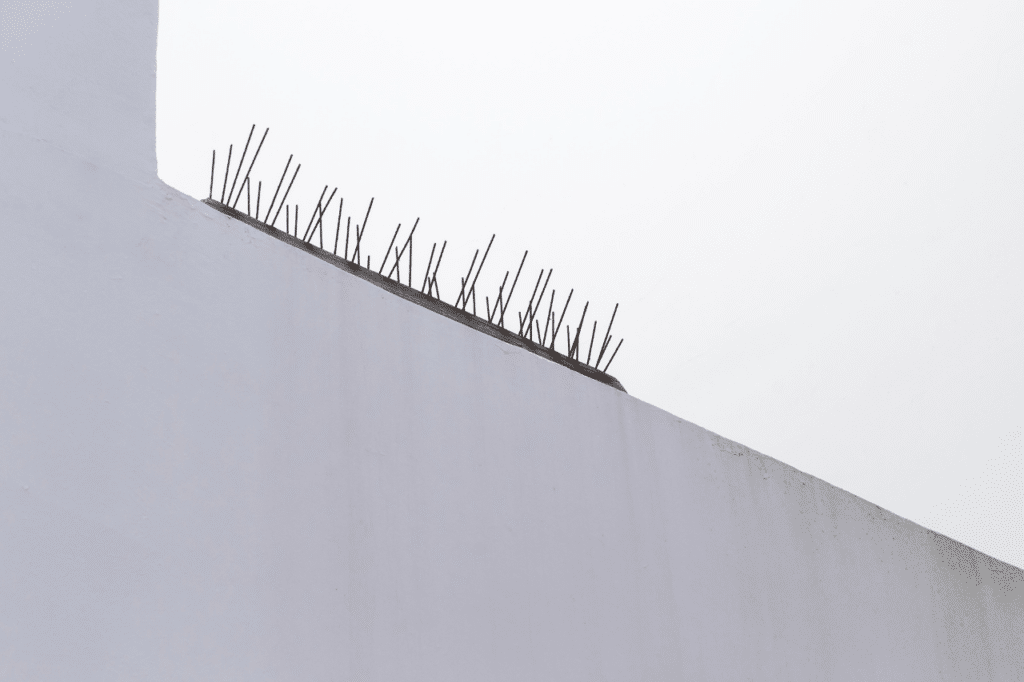 dissuasore per volatili