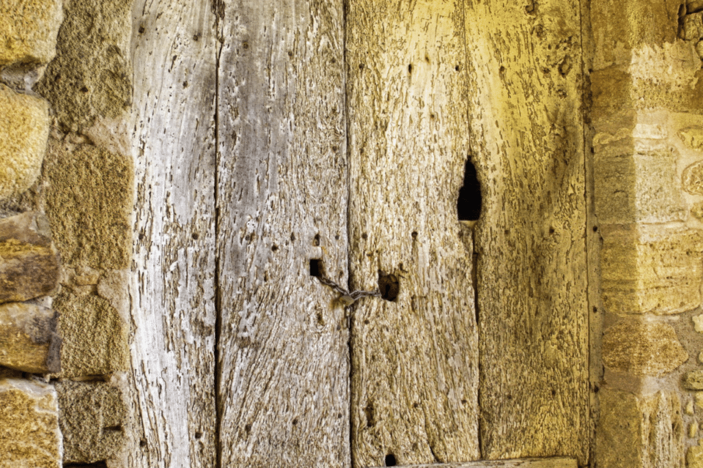 trattamento antitarme