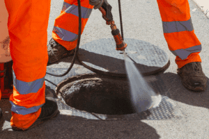 disinfestazioni ambiente