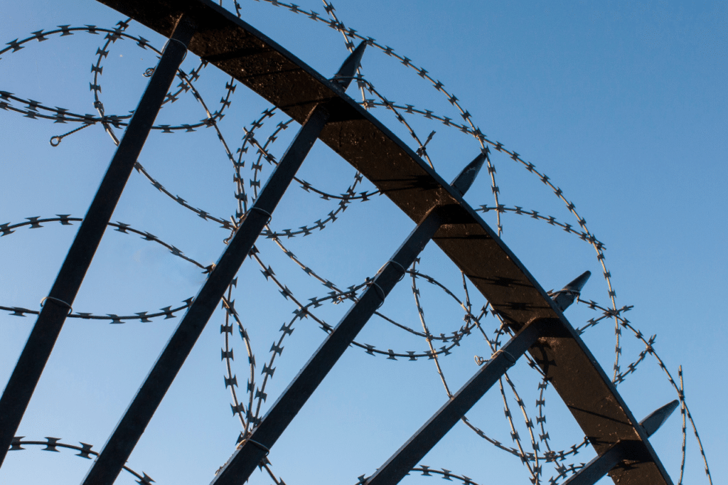 deterrente per uccelli