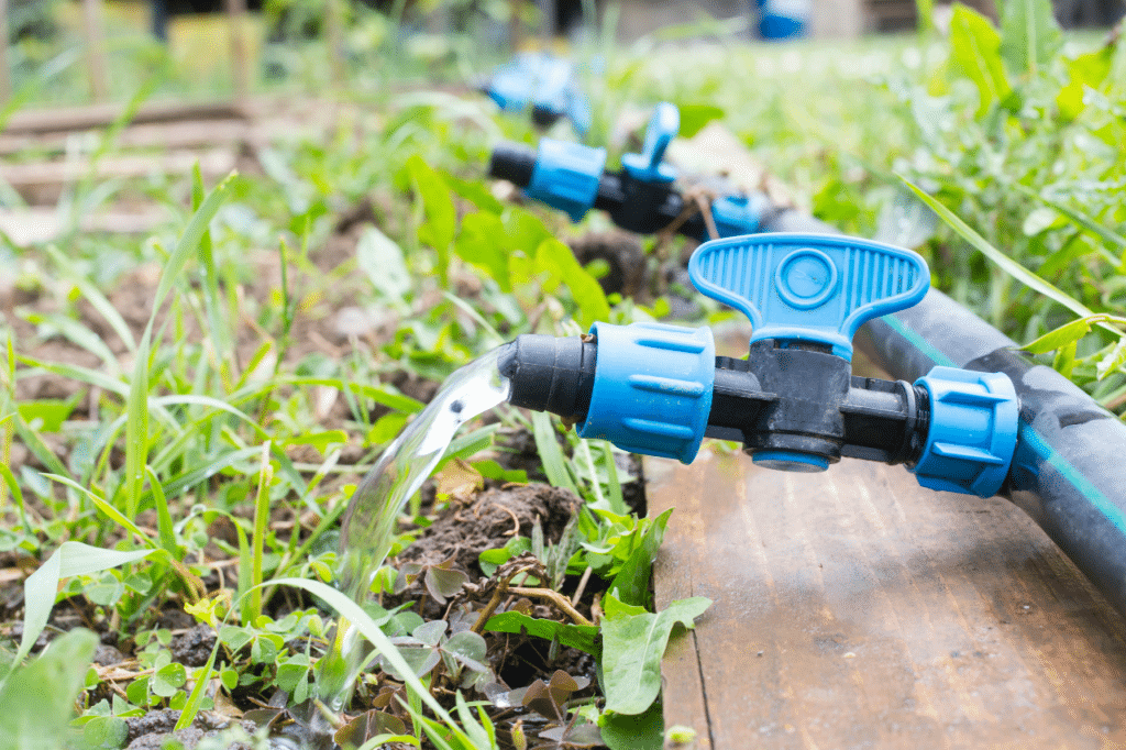 schema impianto irrigazione frutteto