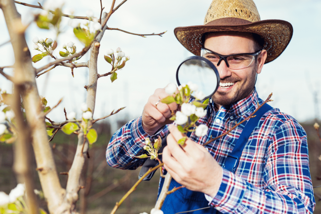 servizio perizia agronomica