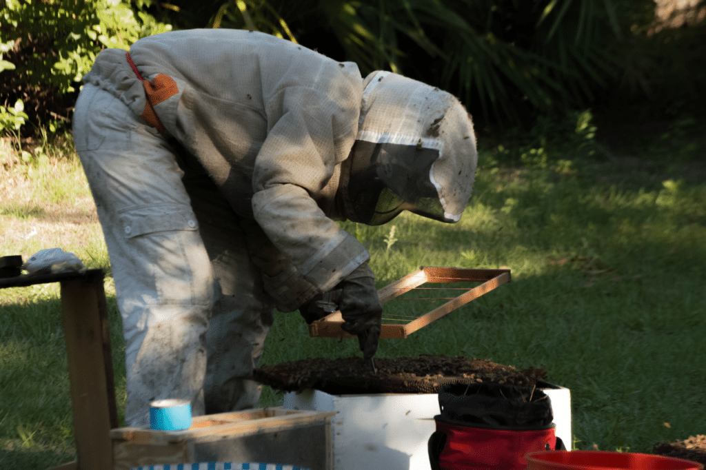 intervento apicoltore