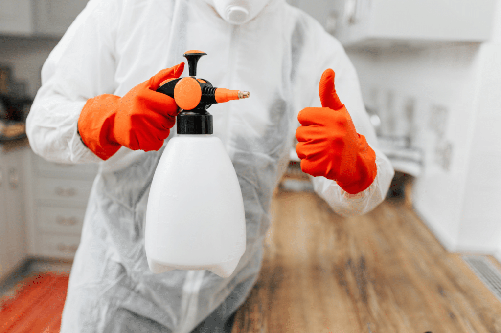 disinfestazione