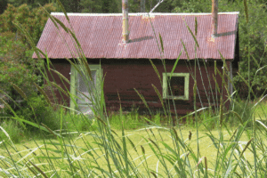 smaltimento stavolo legno usato smaltimento stavolo legno usato