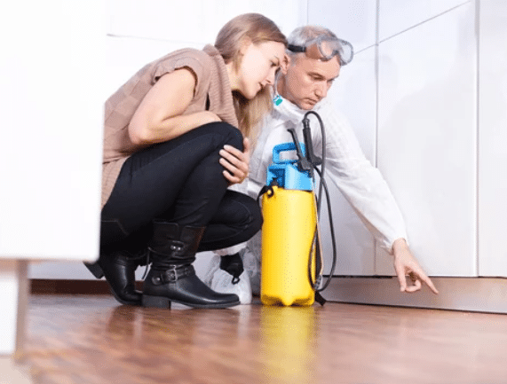 tarme cibo eliminare