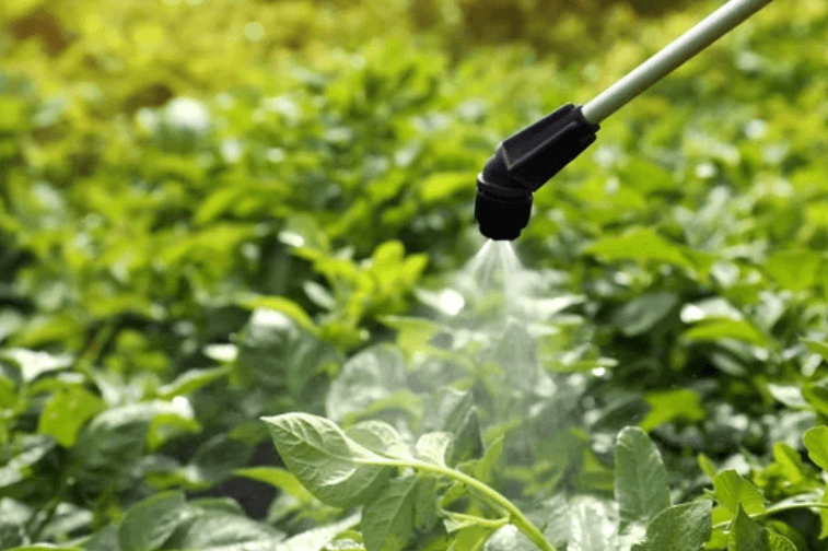 Un nebulizzatore che spruzza del liquido su delle coltivazioni