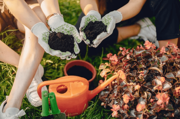 Due persone che, con appositi guanti da giardinaggio, tengono in mano della terra