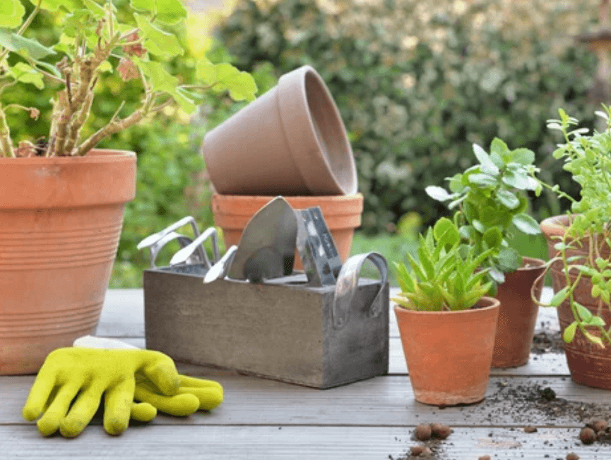 Diversi vasi di piante e attrezzi per il giardinaggio