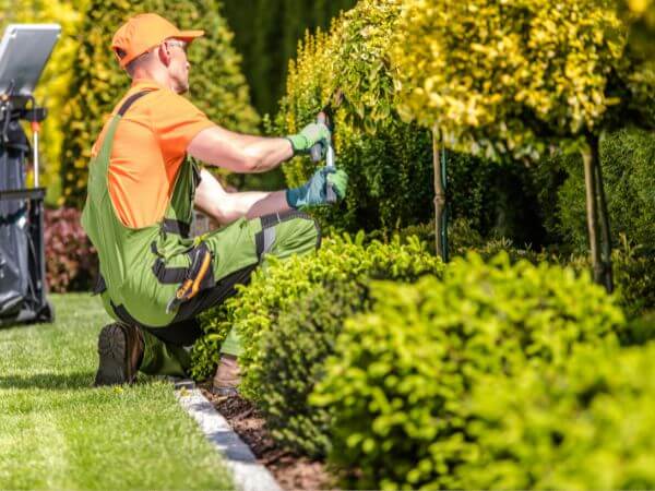 giardiniere professionista con attrezzi e tuta durante un lavoro di giardinaggio